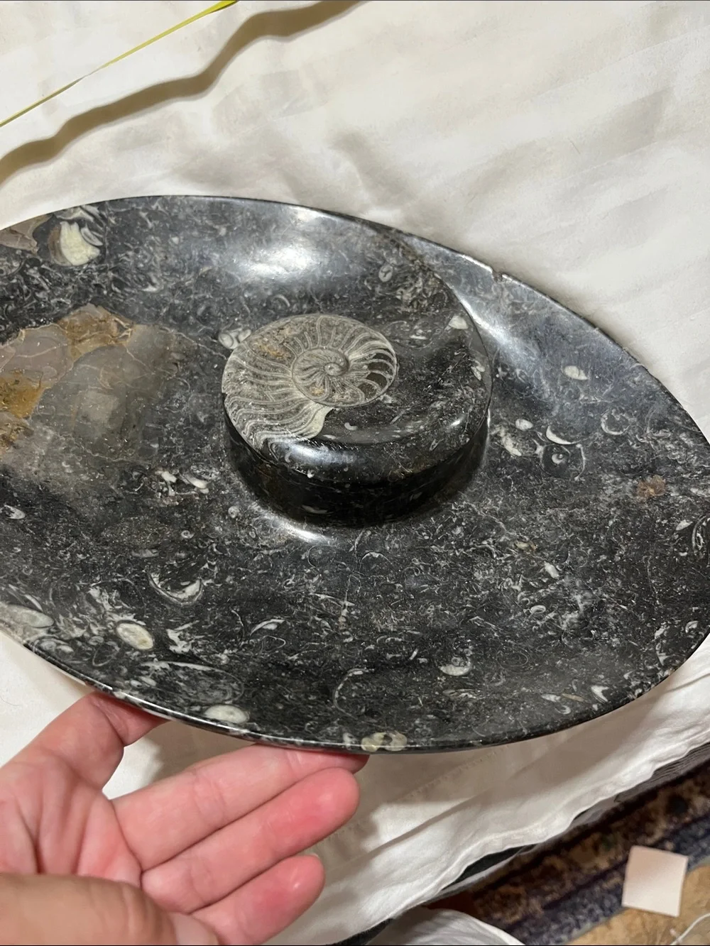 Black Fossil Marble Decorative Bowl - Home Accents